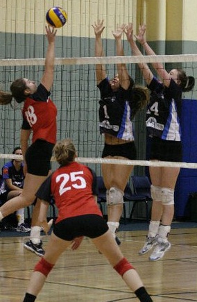 Brisbane Volleyball Club is starting a NEW Women's Volleyball League